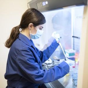 Student working with lab samples in a lab